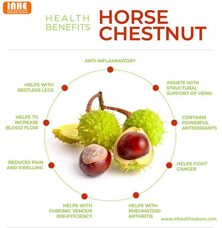 Health Benefits of Horse Chestnut Extract Powder
