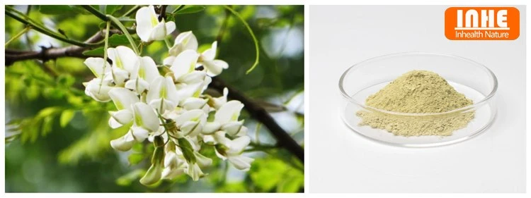 Rutin 98% powder from Sophora Japonica Rutin 98% powder from Sophora Japonica