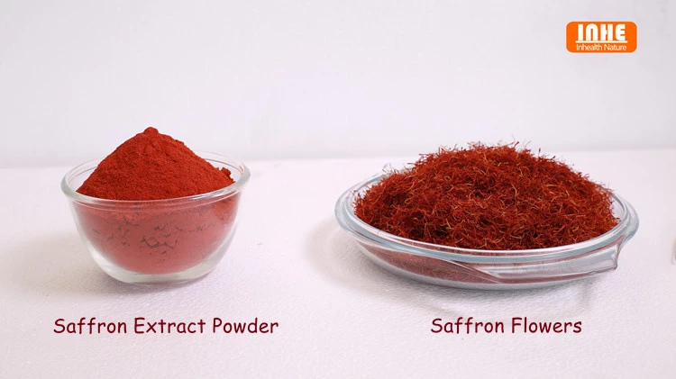 Saffron Flowers and Saffron Extract Powder Saffron Flowers and Saffron Extract Powder
