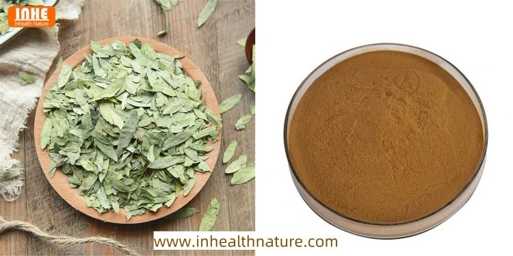 Dried Senna Leaf and Senna Leaf Extrac Dried Senna Leaf and Senna Leaf Extrac
