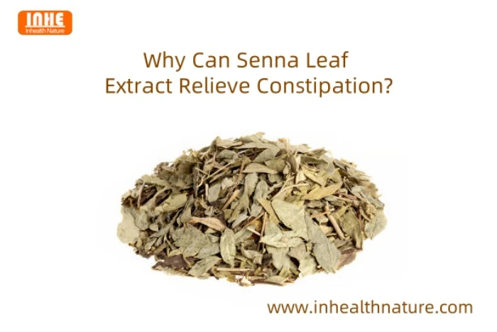 Why Can Senna Leaf Extract Relieve Constipation Why Can Senna Leaf Extract Relieve Constipation